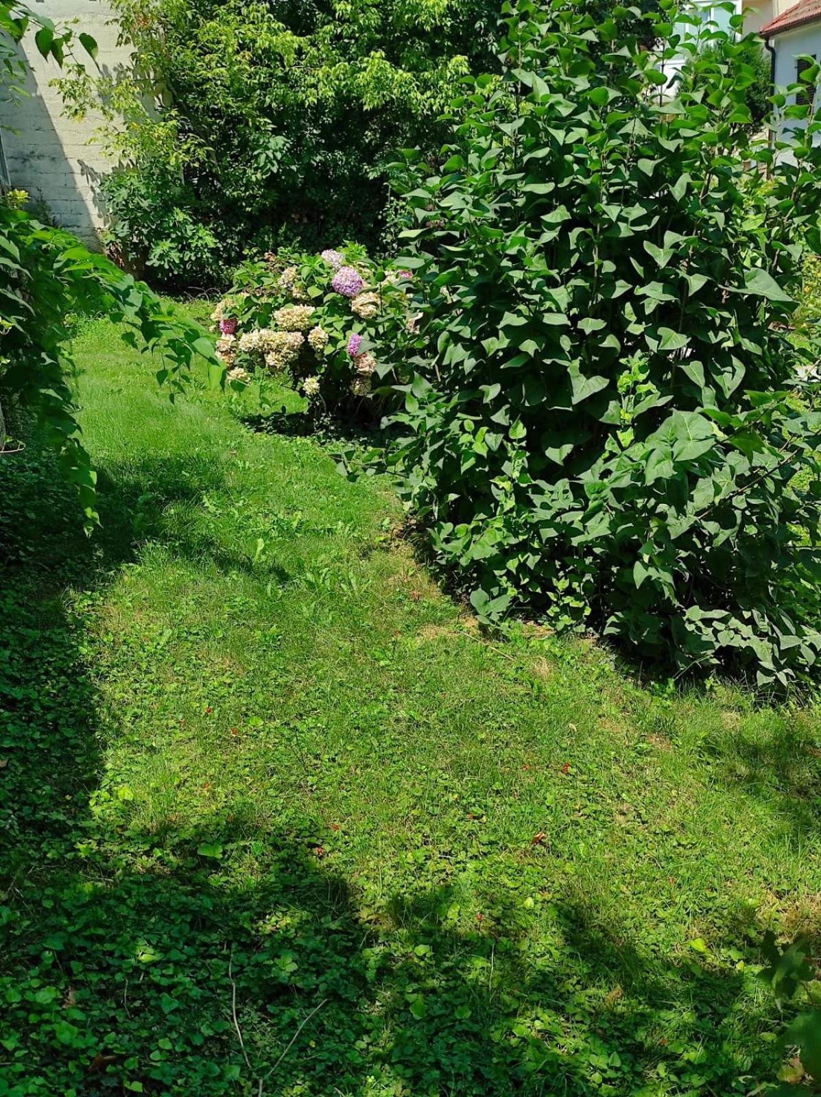 Apartman Zagreb,Rebro,Maksimir,Centar Marko Buitenkant foto