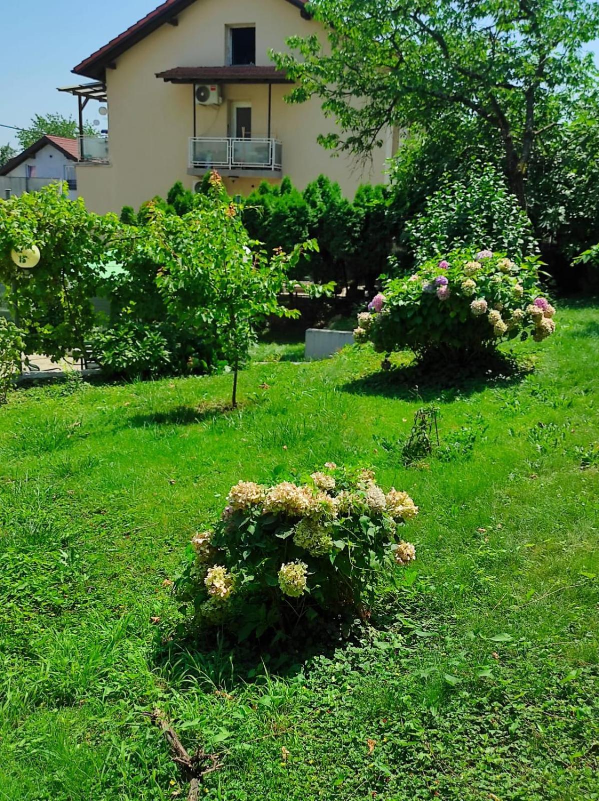 Apartman Zagreb,Rebro,Maksimir,Centar Marko Buitenkant foto